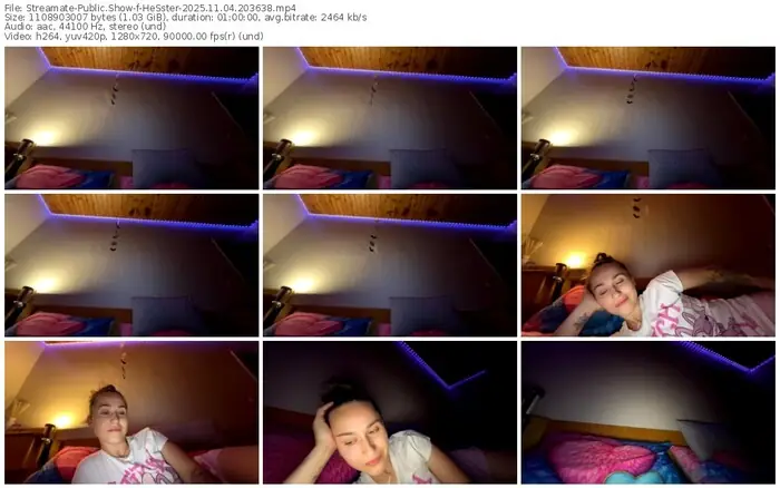 2025/11/04/streamate-hesster-20-36-38