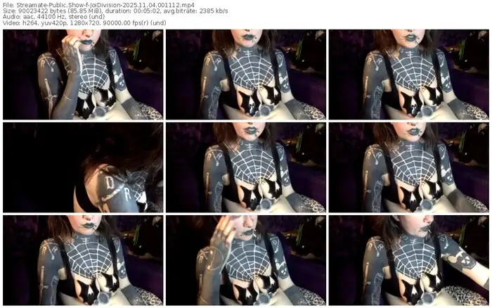 2025/11/04/streamate-joidivision-00-11-12