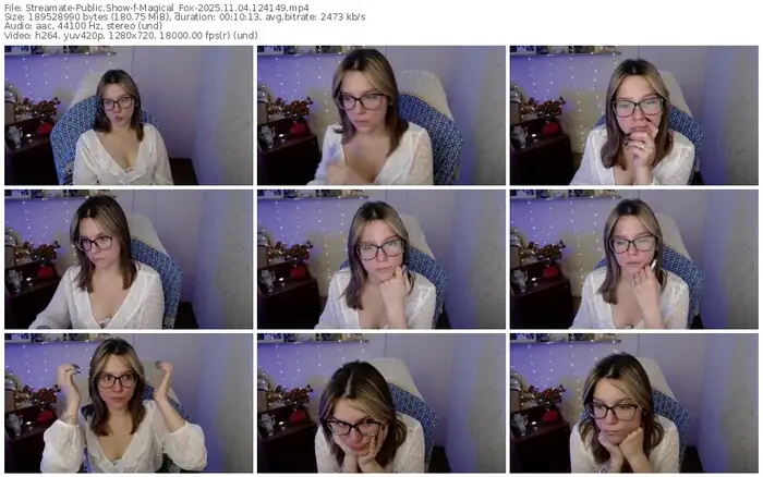 2025/11/04/streamate-magical_fox-12-41-49