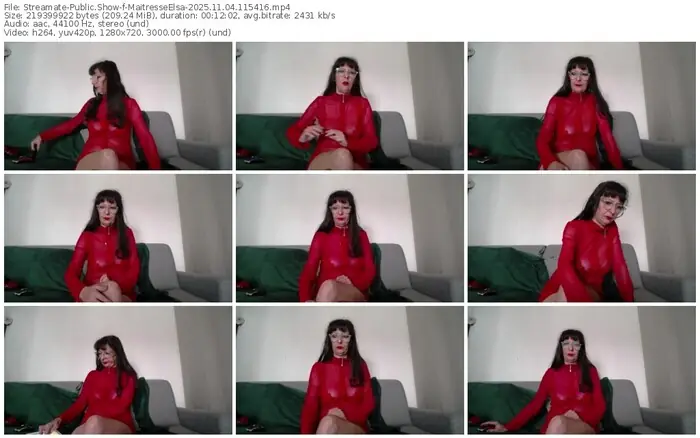 2025/11/04/streamate-maitresseelsa-11-54-16
