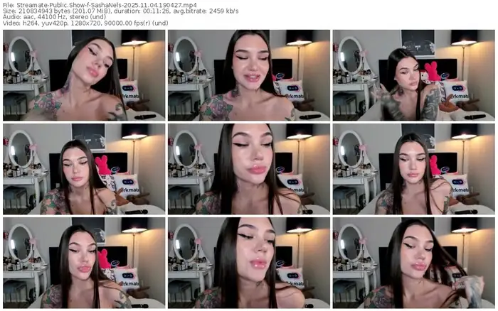 2025/11/04/streamate-sashanels-19-04-27