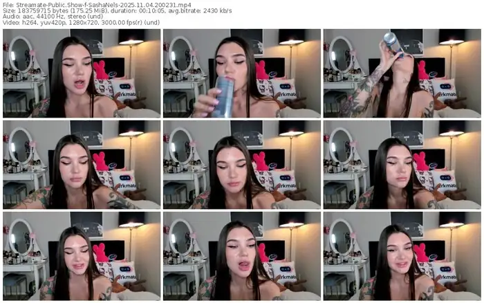 2025/11/04/streamate-sashanels-20-02-31