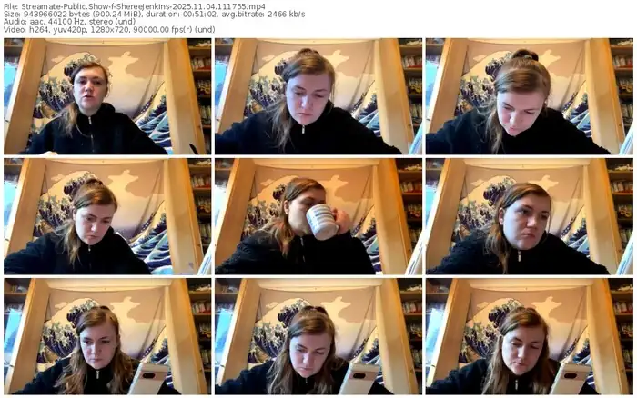 2025/11/04/streamate-shereejenkins-11-17-55
