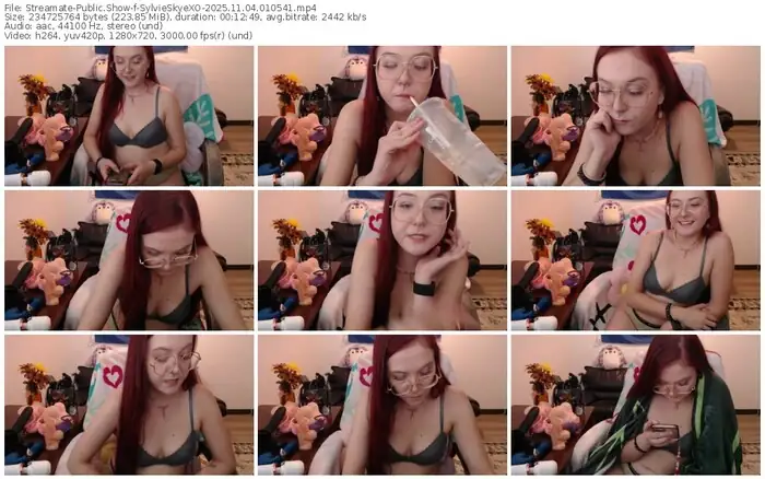 2025/11/04/streamate-sylvieskyexo-01-05-41