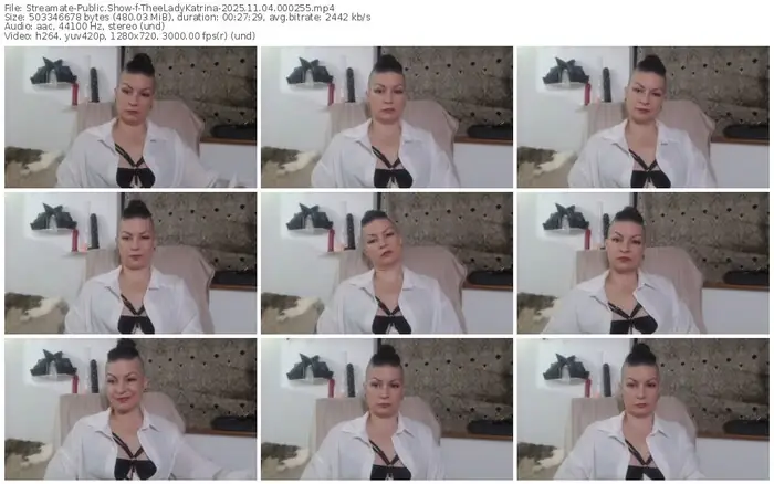2025/11/04/streamate-theeladykatrina-00-02-55
