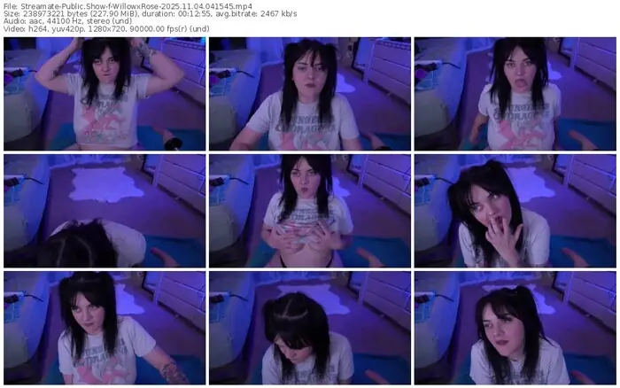 2025/11/04/streamate-willowxrose-04-15-45