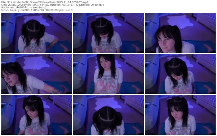 2025/11/04/streamate-willowxrose-05-51-07