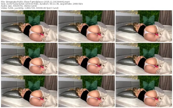 2025/11/04/streamate-amidalaxxx-09-44-42