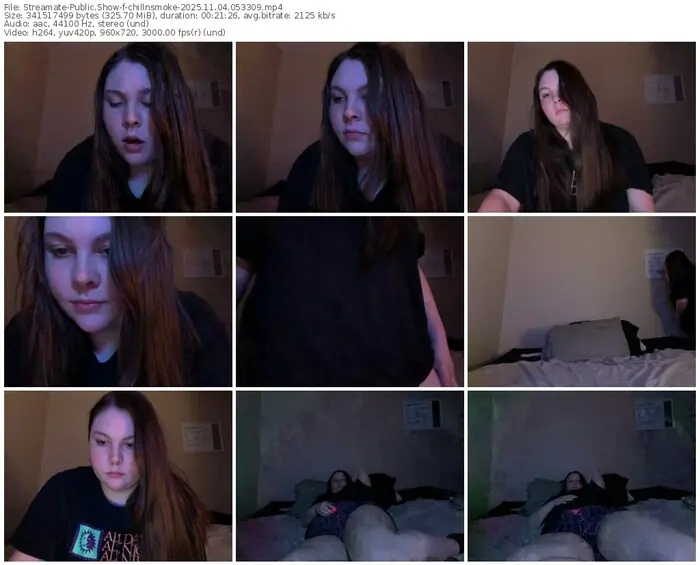 2025/11/04/streamate-chillnsmoke-05-33-09