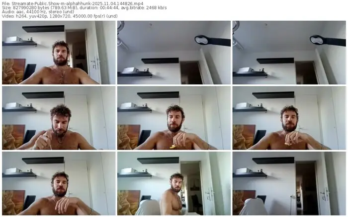 2025/11/04/streamate-alphahhunk-14-48-26