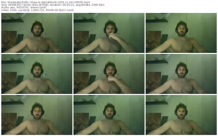 2025/11/04/streamate-alphahhunk-16-45-05