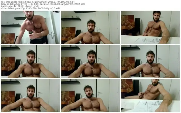 2025/11/04/streamate-alphahhunk-18-57-03