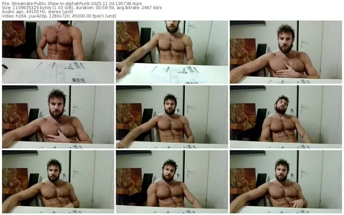 2025/11/04/streamate-alphahhunk-19-57-38