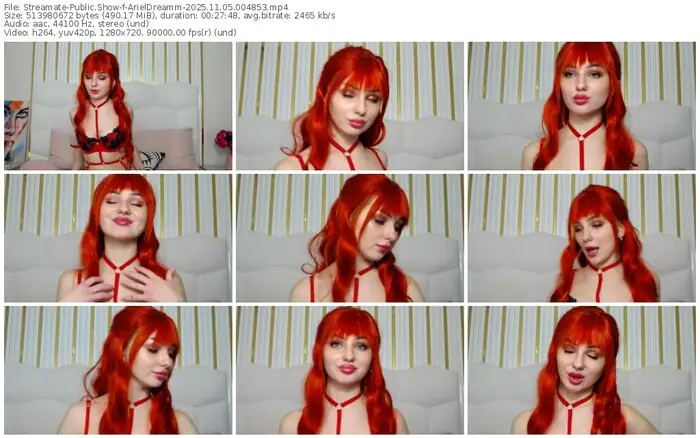2025/11/05/streamate-arieldreamm-00-48-53