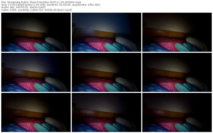 2025/11/05/streamate-hesster-00-39-04