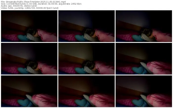 2025/11/05/streamate-hesster-01-39-41