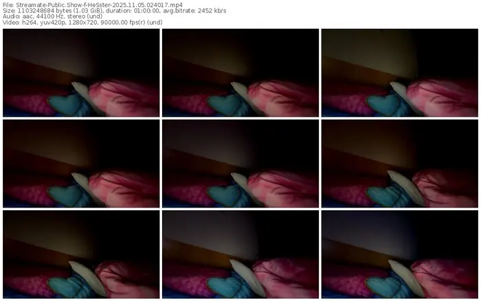 2025/11/05/streamate-hesster-02-40-17