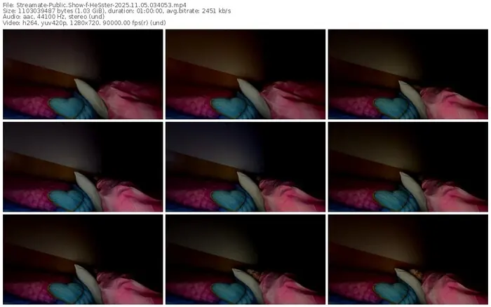 2025/11/05/streamate-hesster-03-40-53