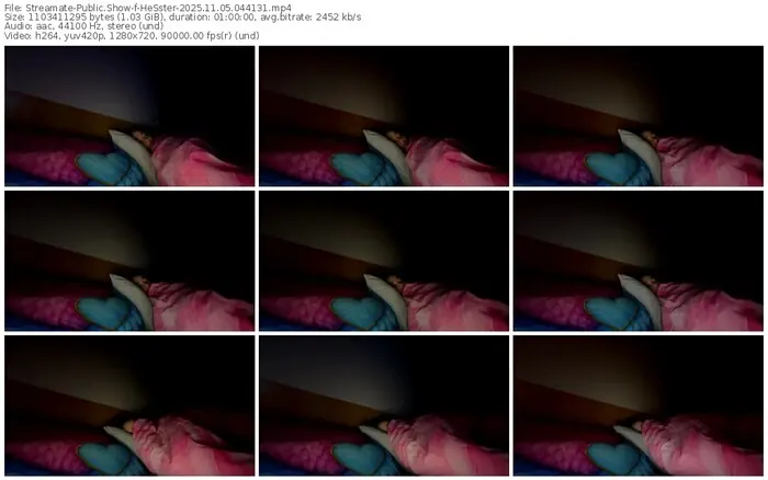 2025/11/05/streamate-hesster-04-41-31