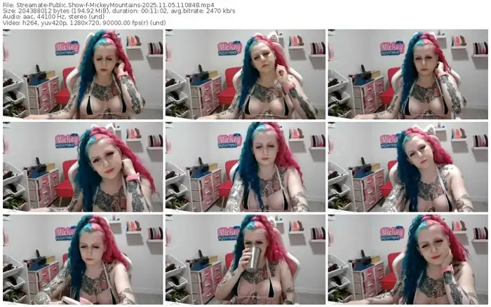 2025/11/05/streamate-mickeymountains-11-08-48