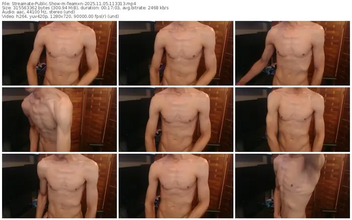 2025/11/05/streamate-teamxn-11-33-13