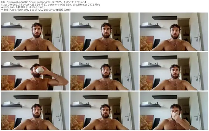 2025/11/05/streamate-alphahhunk-11-17-07