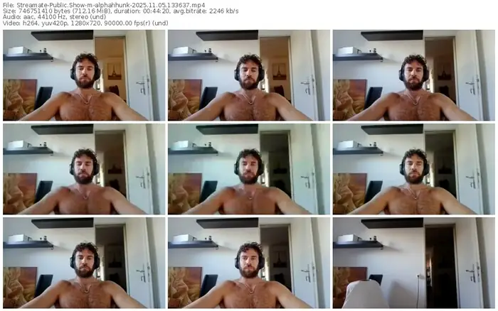 2025/11/05/streamate-alphahhunk-13-36-37
