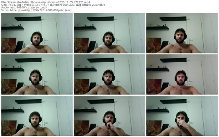 2025/11/05/streamate-alphahhunk-17-22-20