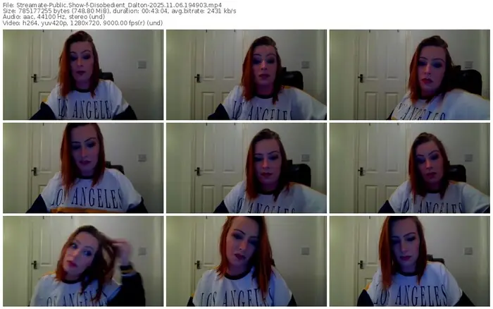 2025/11/06/streamate-disobedient_dalton-19-49-03