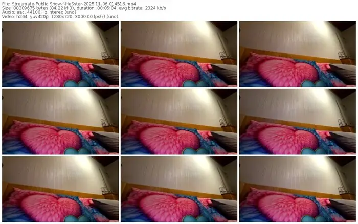 2025/11/06/streamate-hesster-01-45-16