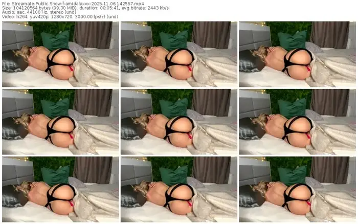 2025/11/06/streamate-amidalaxxx-14-25-57