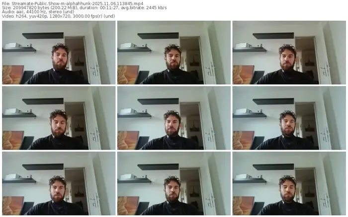 2025/11/06/streamate-alphahhunk-11-38-45