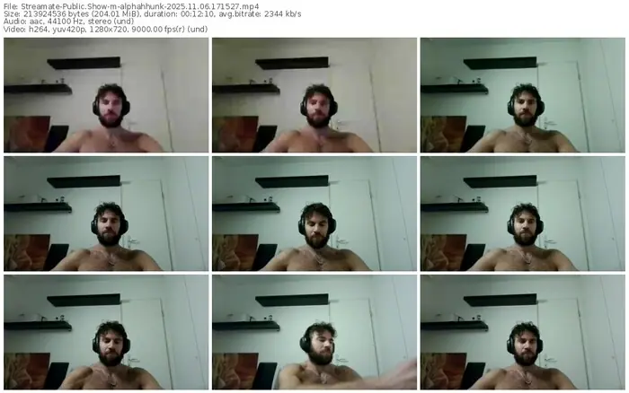 2025/11/06/streamate-alphahhunk-17-15-27