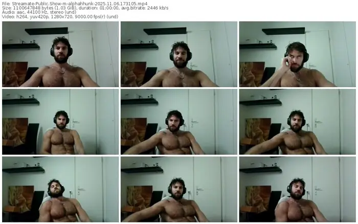 2025/11/06/streamate-alphahhunk-17-31-05