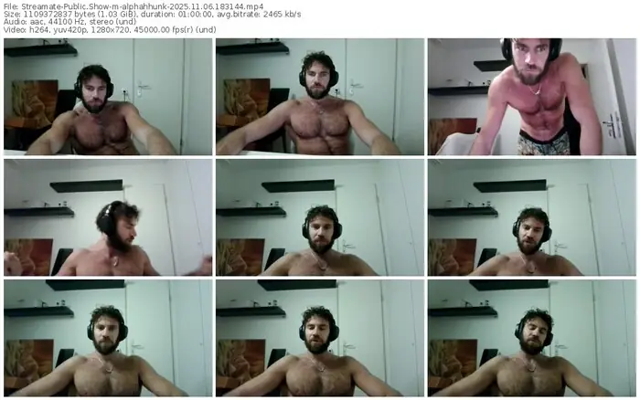 2025/11/06/streamate-alphahhunk-18-31-44