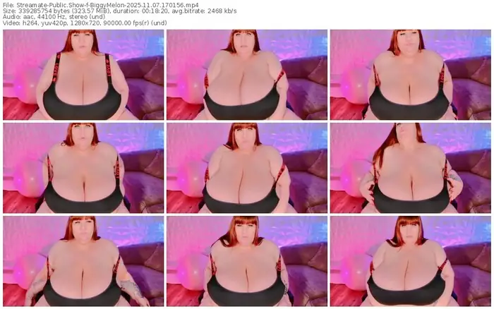 2025/11/07/streamate-biggymelon-17-01-56