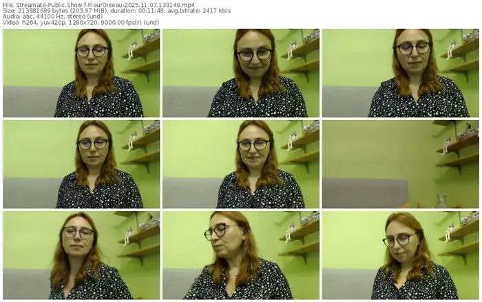 2025/11/07/streamate-fleuroiseau-13-31-49