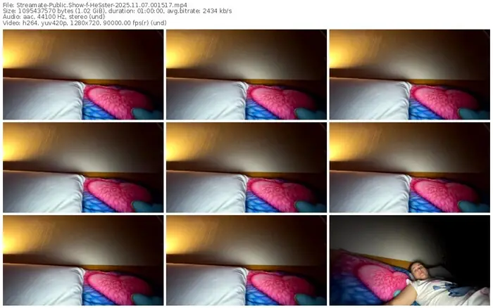 2025/11/07/streamate-hesster-00-15-17