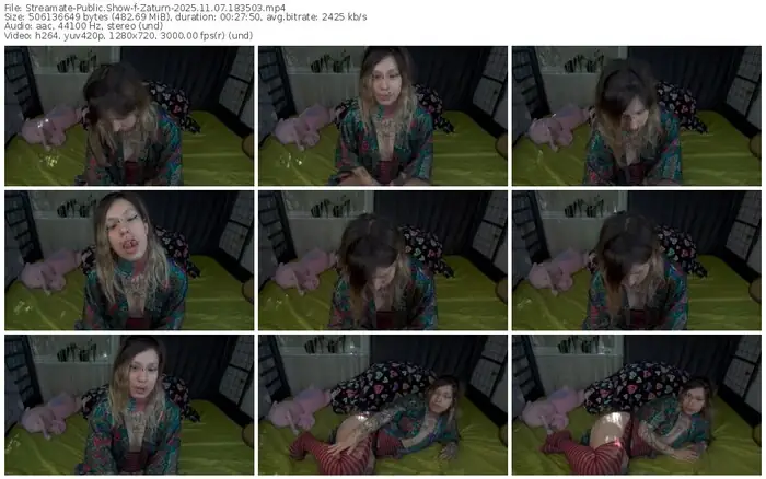 2025/11/07/streamate-zaturn-18-35-03