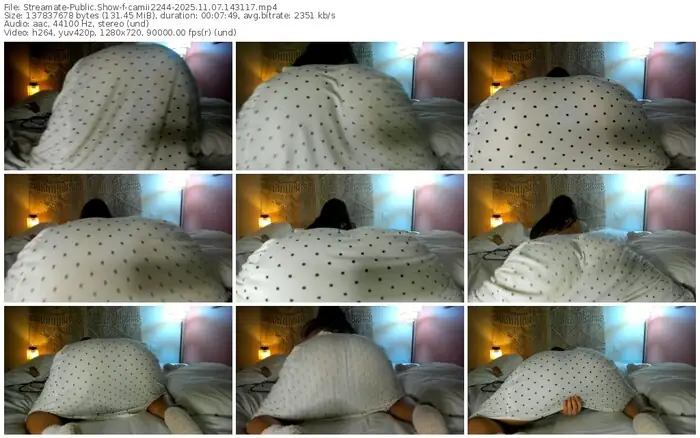 2025/11/07/streamate-camii2244-14-31-17