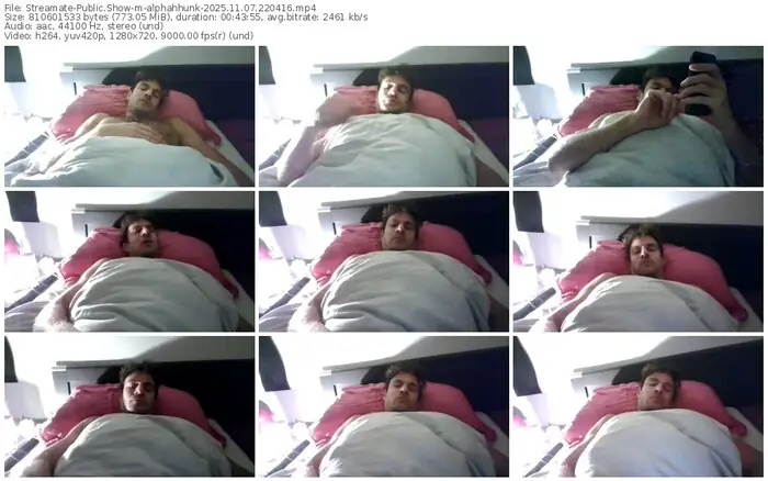 2025/11/07/streamate-alphahhunk-22-04-16