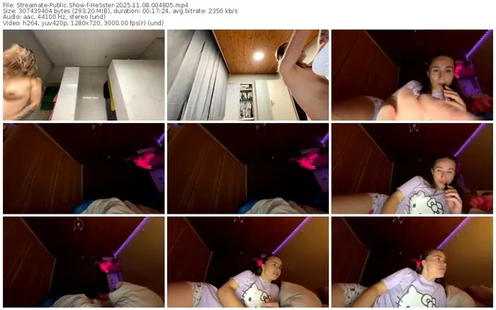 2025/11/08/streamate-hesster-00-48-05
