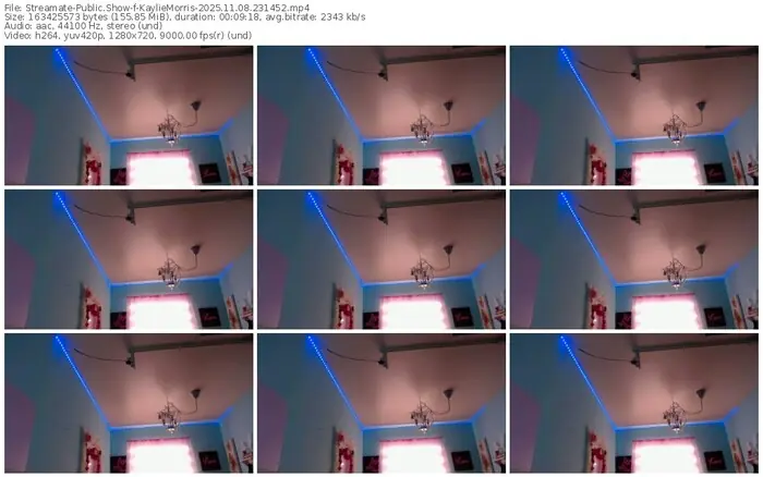 2025/11/08/streamate-kayliemorris-23-14-52