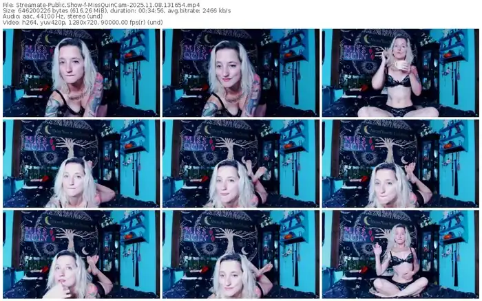 2025/11/08/streamate-missquincam-13-16-54