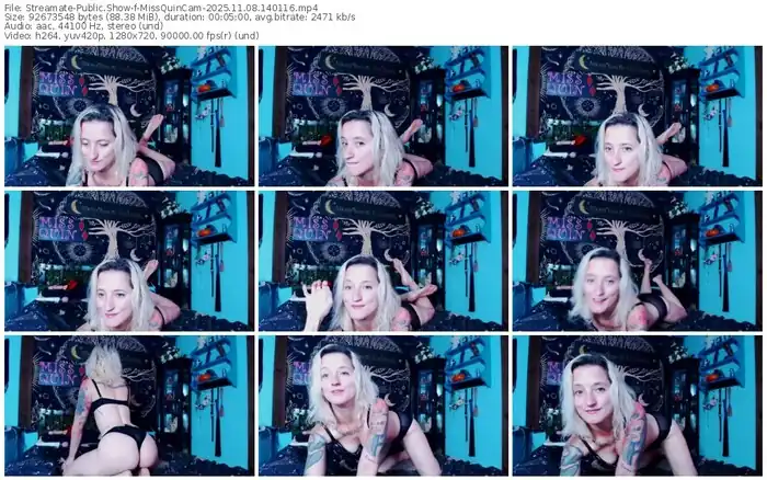2025/11/08/streamate-missquincam-14-01-16