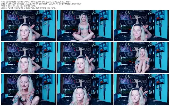 2025/11/08/streamate-missquincam-22-53-07