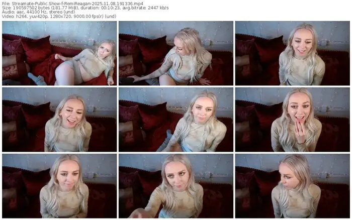 2025/11/08/streamate-remireagan-19-13-36