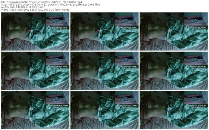 2025/11/08/streamate-vixenminx-13-20-26