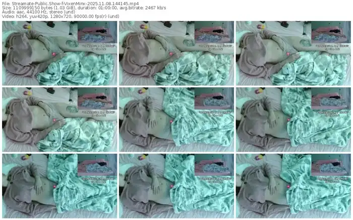 2025/11/08/streamate-vixenminx-14-41-45