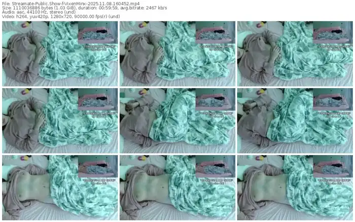 2025/11/08/streamate-vixenminx-16-04-52